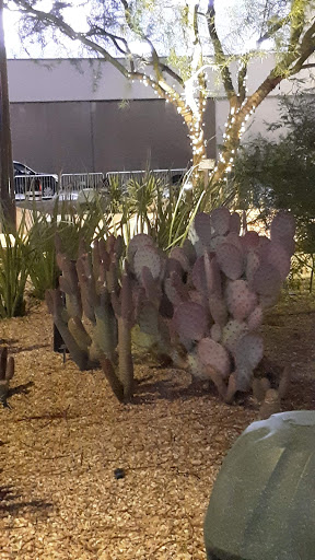 Arena «T-Mobile Arena», reviews and photos, 3780 S Las Vegas Blvd, Las Vegas, NV 89158, USA