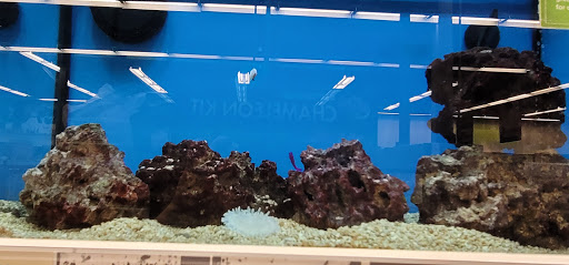 Pet Supply Store «Petco Animal Supplies», reviews and photos, 38069 Town Center Dr #222, Millville, DE 19967, USA