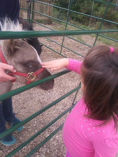 Produce Market «Welsh Heritage Farms», reviews and photos, 20758 528th Ave, Lake Crystal, MN 56055, USA