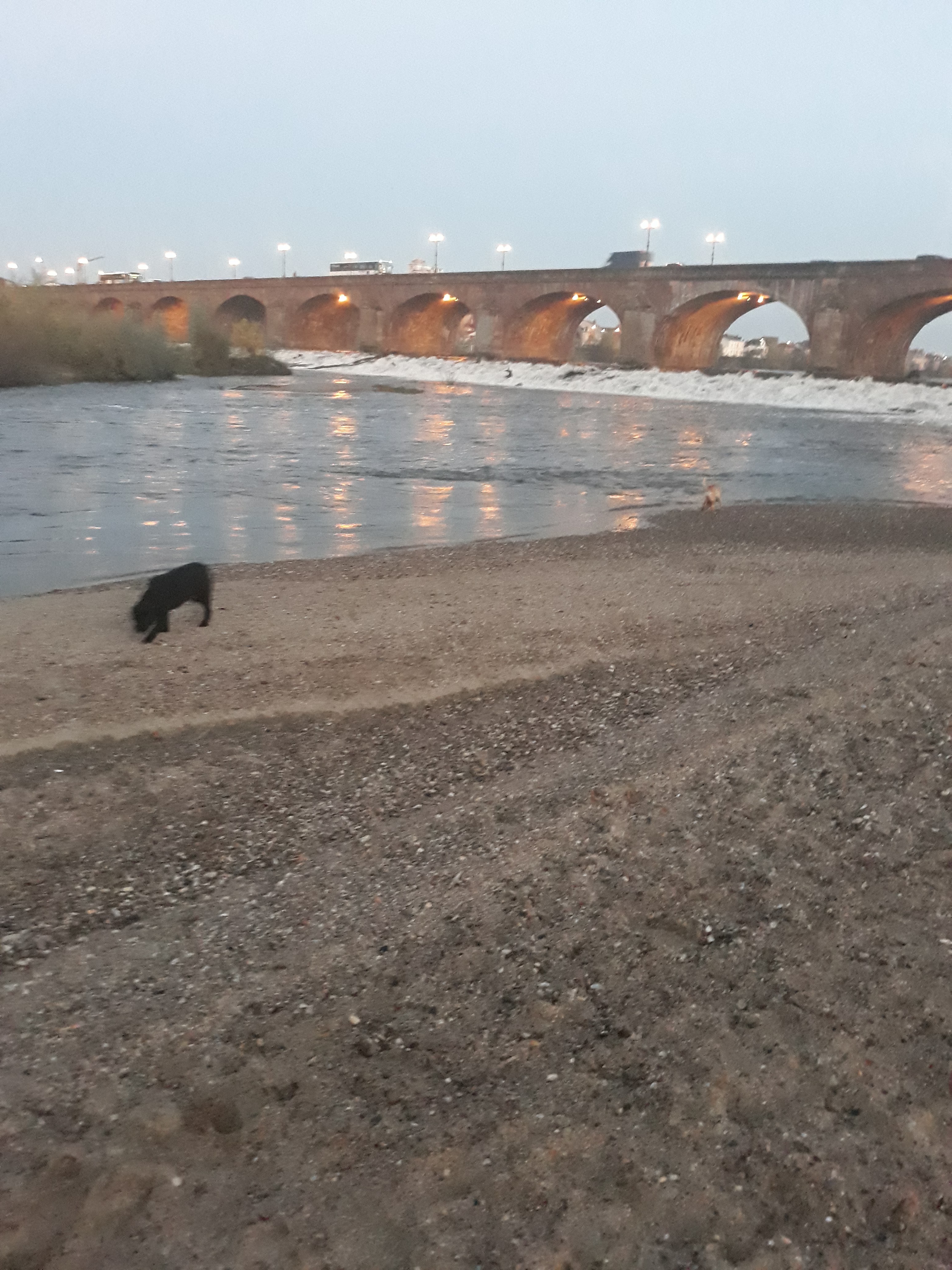 Photo n° 1 de l'avis de Laetitia.o fait le 27/03/2018 à 05:02