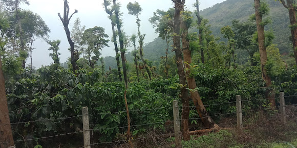 Google Maps image 11