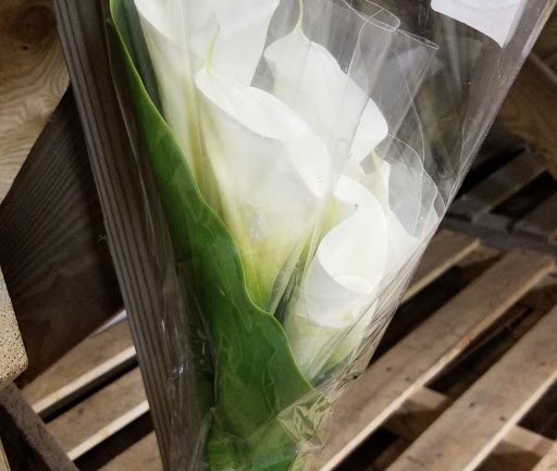 Florist «Sieck-Wright Floral Products», reviews and photos, 231 Monmouth St, Hightstown, NJ 08520, USA