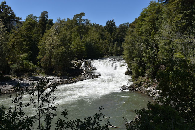 Opiniones de Parque Nacional Puyehue en La Unión - Camping