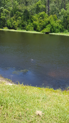 Golf Club «St. Johns Golf Club», reviews and photos, 4900 Cypress Links Blvd, Elkton, FL 32033, USA