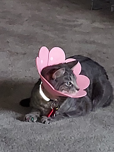 3246 S Dixie Hwy, Middletown, OH 45044, USA