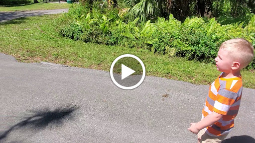 Nature Preserve «Sandy Ridge Sanctuary», reviews and photos, 8501 NW 40th St, Coral Springs, FL 33065, USA