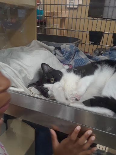 Pet Supply Store «PetSmart», reviews and photos, 9921 Pulaski Hwy, Baltimore, MD 21220, USA