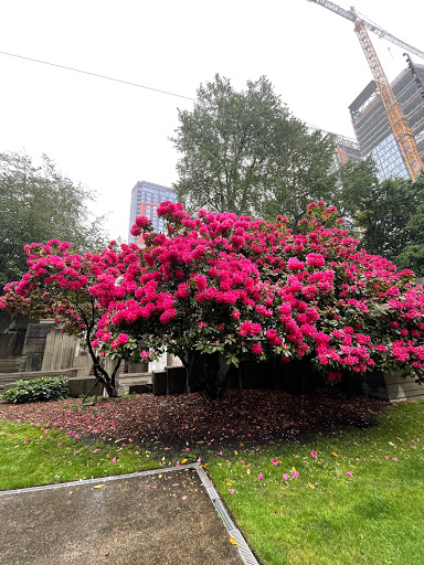 Park «Freeway Park - Jim Ellis Freeway Park», reviews and photos, 700 Seneca St, Seattle, WA 98101, USA