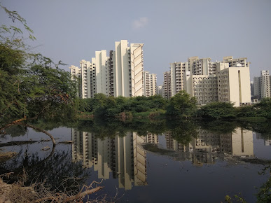 Google Maps image 22