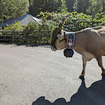 Photo n°21 de l'avis de Karl.e fait le 24/09/2023 à 19:53 sur le  Hotel Engel à Schluderns