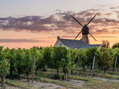 Moulin à vent de la Pinsonnerie à Bellevigne-en-Layon