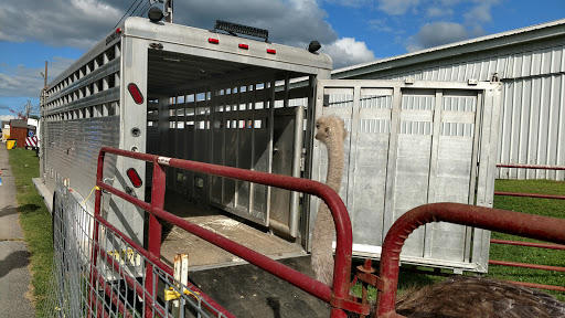 Fairground «Conservatory at the Sussex County Fairgrounds», reviews and photos, 37 Plains Rd, Augusta, NJ 07822, USA