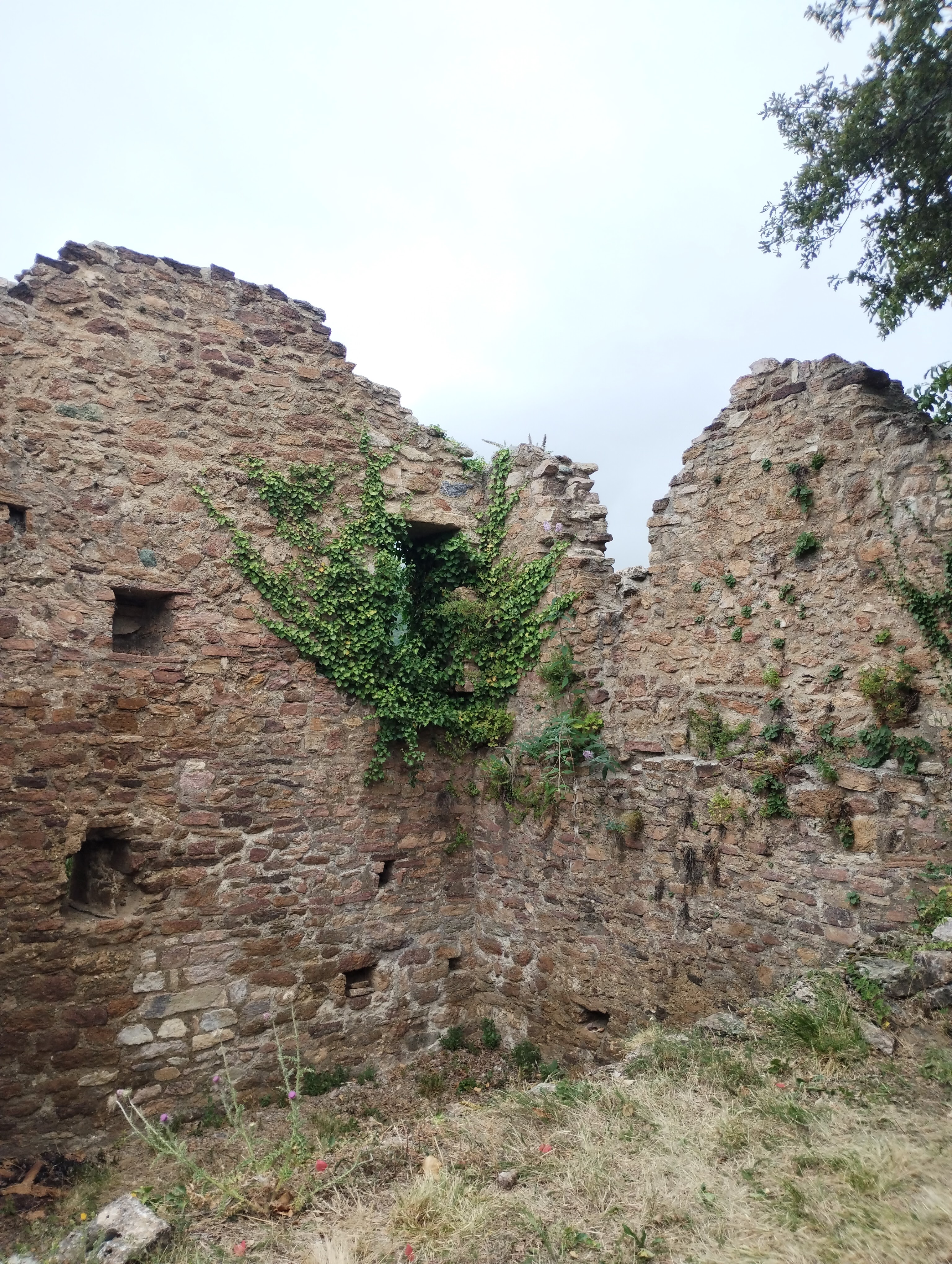 Photo n° 4 de l'avis de Lionel.o fait le 10/09/2023 à 10:18