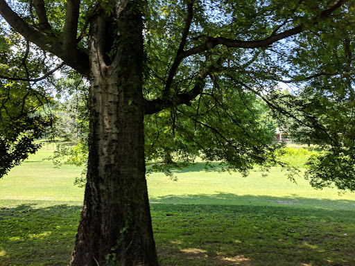 Golf Course «Vinny Links Golf Course», reviews and photos, 2009 Sevier St, Nashville, TN 37206, USA