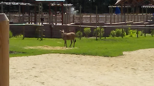 Zoo «Turtle Back Zoo», reviews and photos, 560 Northfield Ave, West Orange, NJ 07052, USA