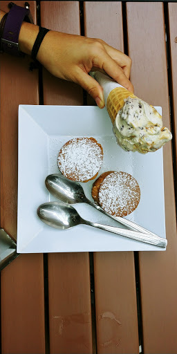 Ice Cream Shop «Freddo Brickell», reviews and photos, 1102 S Miami Ave, Miami, FL 33130, USA