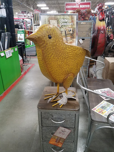 Home Improvement Store «Tractor Supply Co.», reviews and photos, 2300 N Woodland Blvd, DeLand, FL 32720, USA