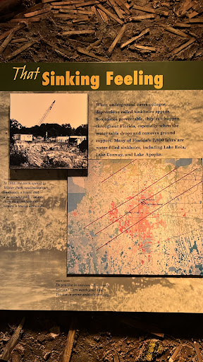 Historical Society «Orange County Regional History Center», reviews and photos, 65 E Central Blvd, Orlando, FL 32801, USA