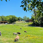 Photo n° 3 de l'avis de Ange.e fait le 12/05/2024 à 12:24 pour A la Ferme de Titou à Saint-Maime