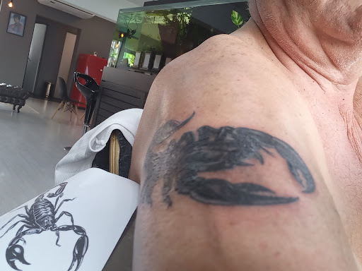 Logo da empresa - Amazon Tattoo Studio