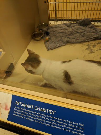 Pet Supply Store «PetSmart», reviews and photos, 1013 W University Ave, Georgetown, TX 78628, USA