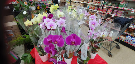 Grocery Store «Valli Produce of Glendale Heights», reviews and photos, 155 E N Ave, Glendale Heights, IL 60139, USA