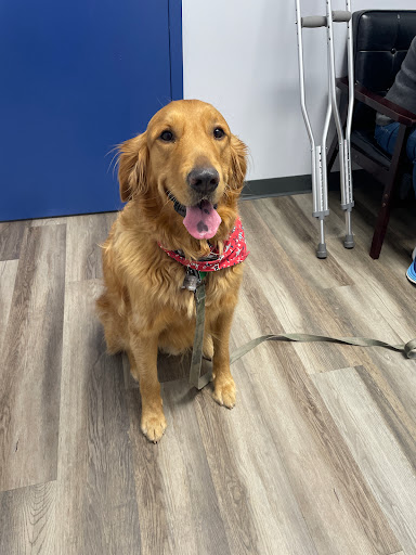 Highlands Animal Care