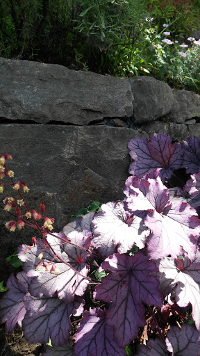 Park «Sewallcrest Park», reviews and photos, SE 31st Ave & Market St, Portland, OR 97214, USA