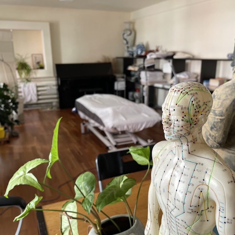 Praxis für Massage und Bewegungstherapie (TCM)