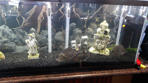 Gold Dealer «Gold and Silver Traders», reviews and photos, 7606 S Tacoma Way, Tacoma, WA 98409, USA