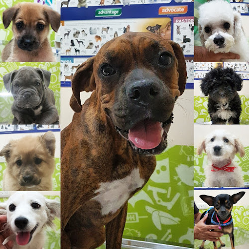 CONSULTORIO VETERINARIO DR. JEFF - Veterinario