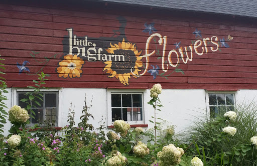 Race Farm, 87 Belcher Rd, Blairstown, NJ 07825, USA, 