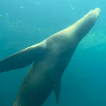 Photo n° 1 de l'avis de Zoflo.o fait le 28/07/2023 à 18:42 pour Nausicaa Centre National De La Mer à Boulogne-sur-Mer