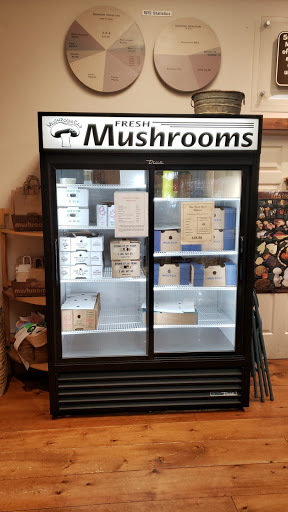 Gift Shop «The Mushroom Cap», reviews and photos, 114 W State St, Kennett Square, PA 19348, USA
