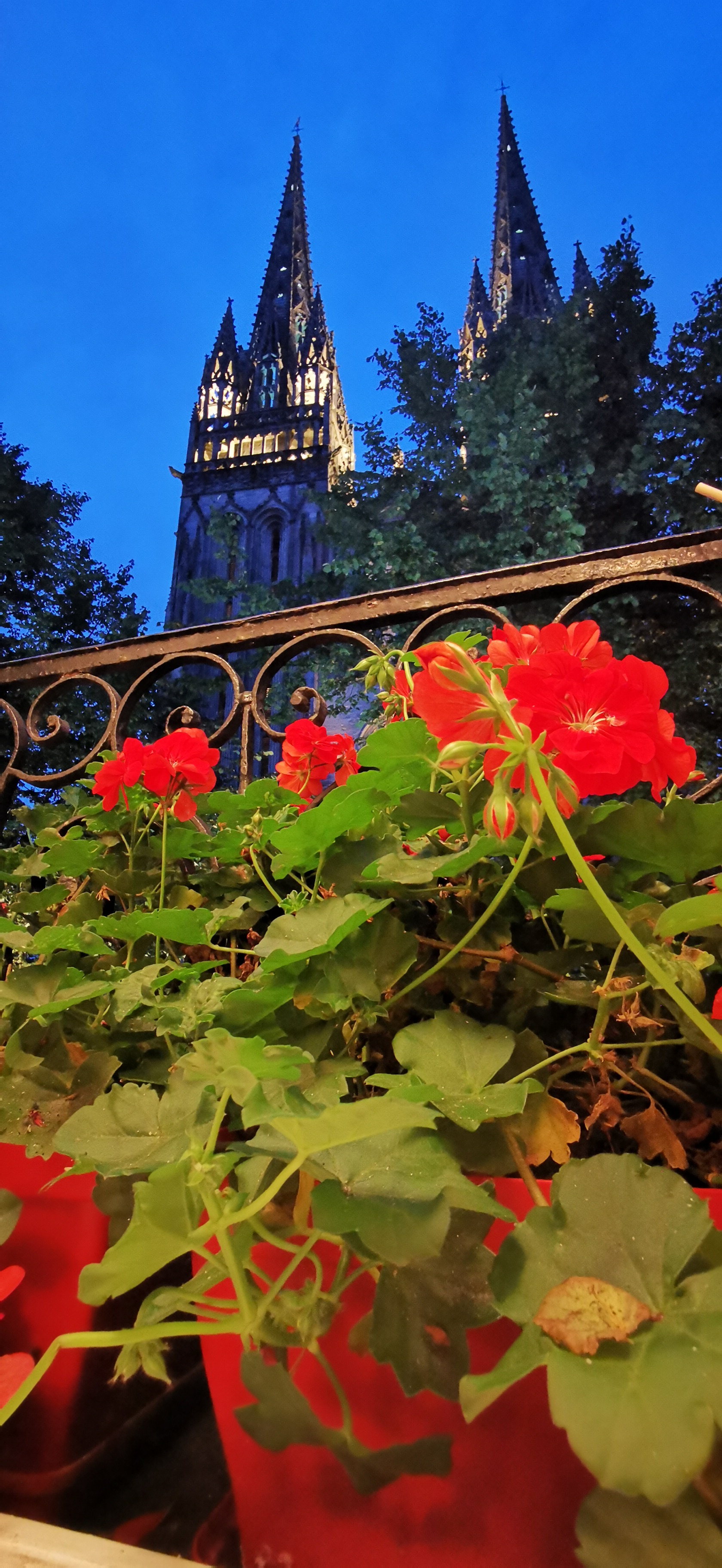 Photo n° 4 de l'avis de Kristel.e fait le 12/08/2023 à 22:04