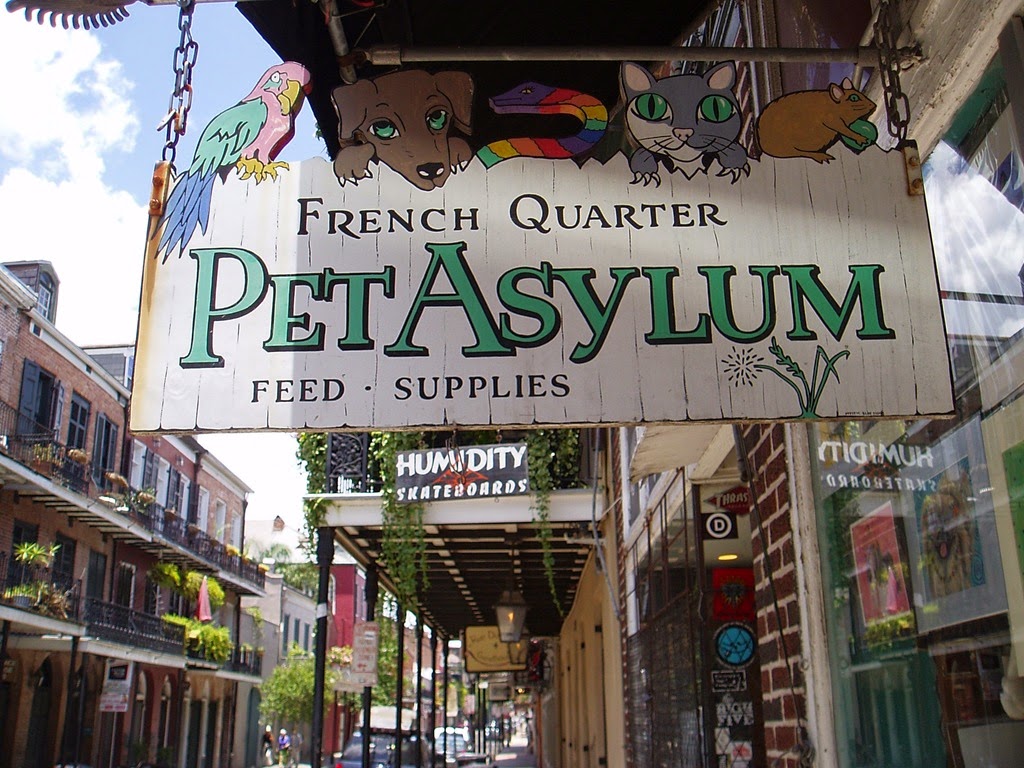 Big Easy Pet Shop & Rescue Too