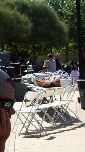 Stage «Levitt Pavilion», reviews and photos, 100 W Abram St, Arlington, TX 76010, USA