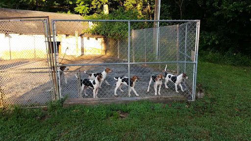 Vineyard «Dry Mill Vineyard & Winery LLC», reviews and photos, 18195 Dry Mill Rd, Leesburg, VA 20175, USA