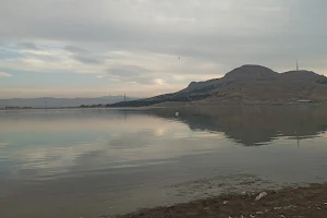 Pond Bostaniçi image