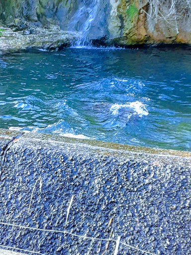 Zoo «Queens Zoo», reviews and photos, 53-51 111th St, Corona, NY 11368, USA