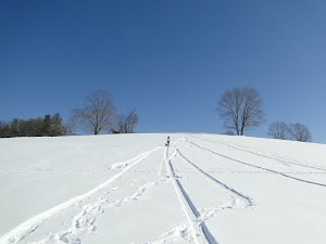Stroud Preserve - photo 70