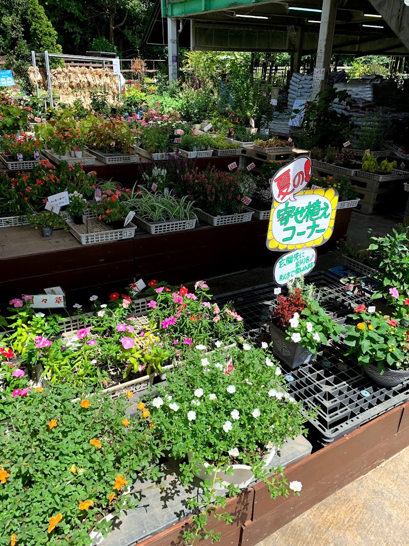 リバティー岡本 大阪府堺市南区御池台 園芸センター 花 グルコミ