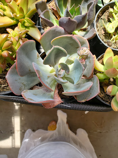 Home Improvement Store «The Home Depot», reviews and photos, 1300-1320 Corporate Dr, Westbury, NY 11590, USA