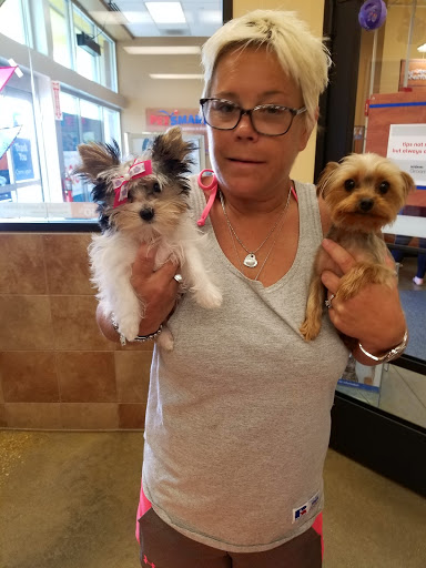 Pet Supply Store «PetSmart», reviews and photos, 15500 Panama City Beach Pkwy #340, Panama City Beach, FL 32413, USA