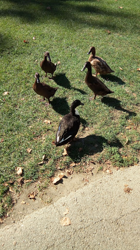 Golf Course «Airport Golf Course», reviews and photos, 900 N Hamilton Rd, Columbus, OH 43219, USA