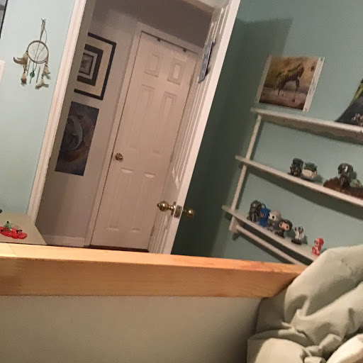 Comic Book Store «Comics & Stuff», reviews and photos, 3309 W Kennedy Blvd, Tampa, FL 33609, USA