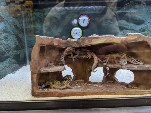 Pet Supply Store «Petco Animal Supplies», reviews and photos, 86 Storrs Rd, Mansfield Center, CT 06250, USA