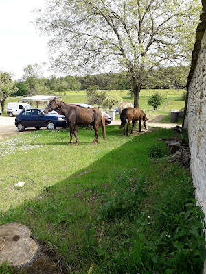 Ferme Equestre De Valbertier à Is-sur-Tille