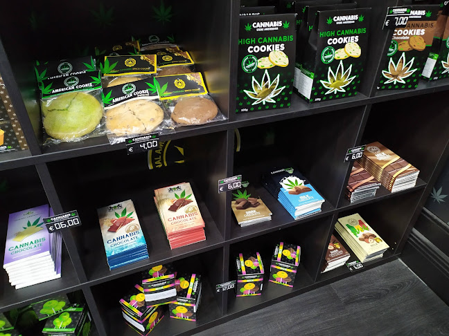 Cannabis Store Amsterdam Porto - Porto