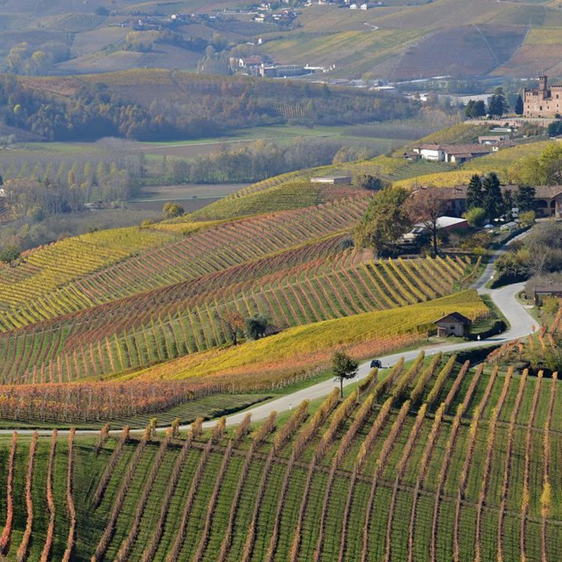 Community of the hills between Langhe and Monferrato